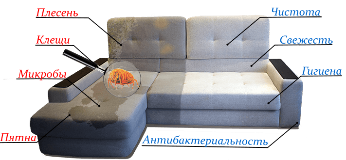 Химчистка диванов на дому в Санкт-Петербурге недорого